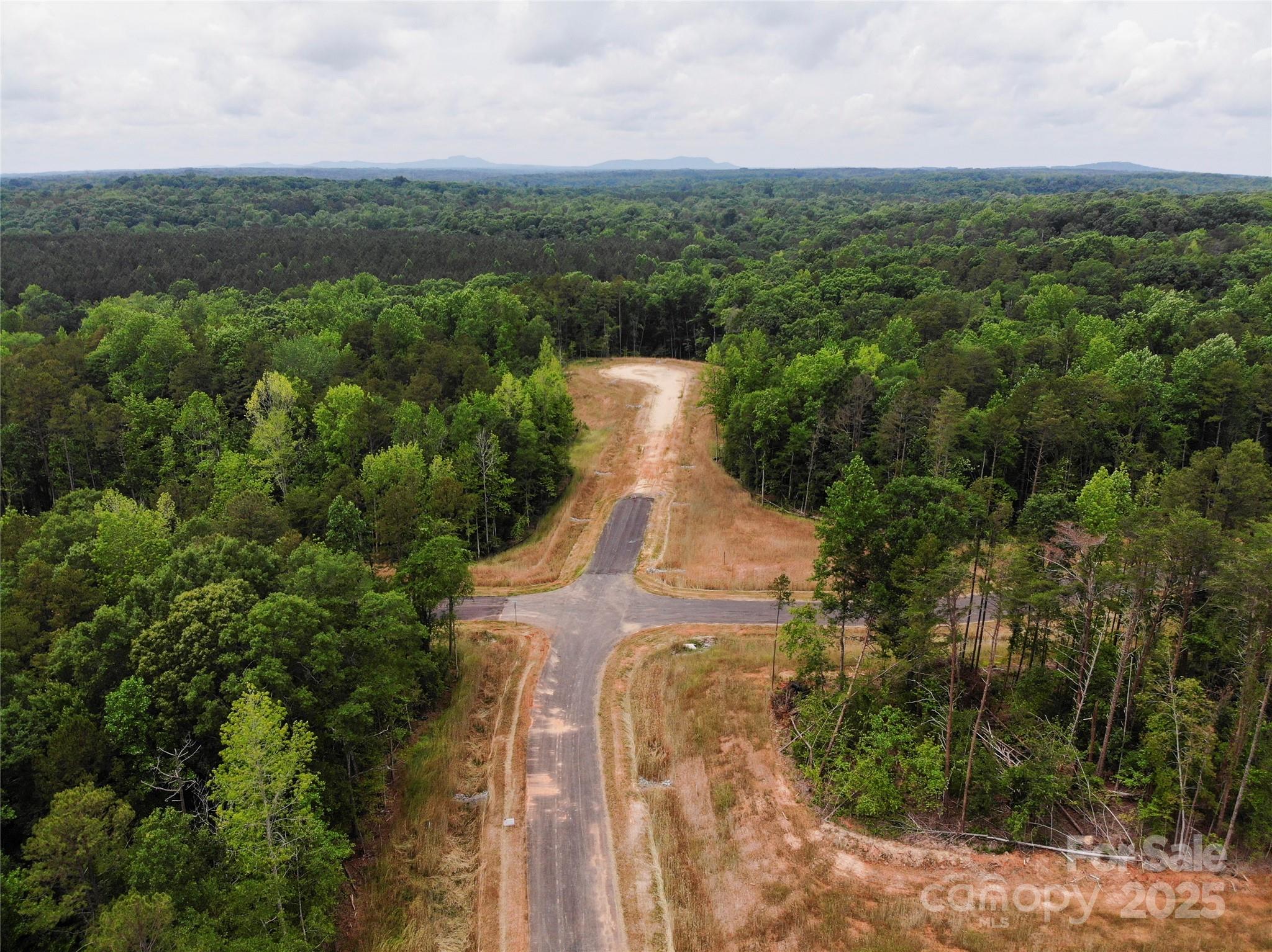 Lot 5 American Bittern Way Clover, SC 29710 - Photo 33 of 37 Gallery Image 33