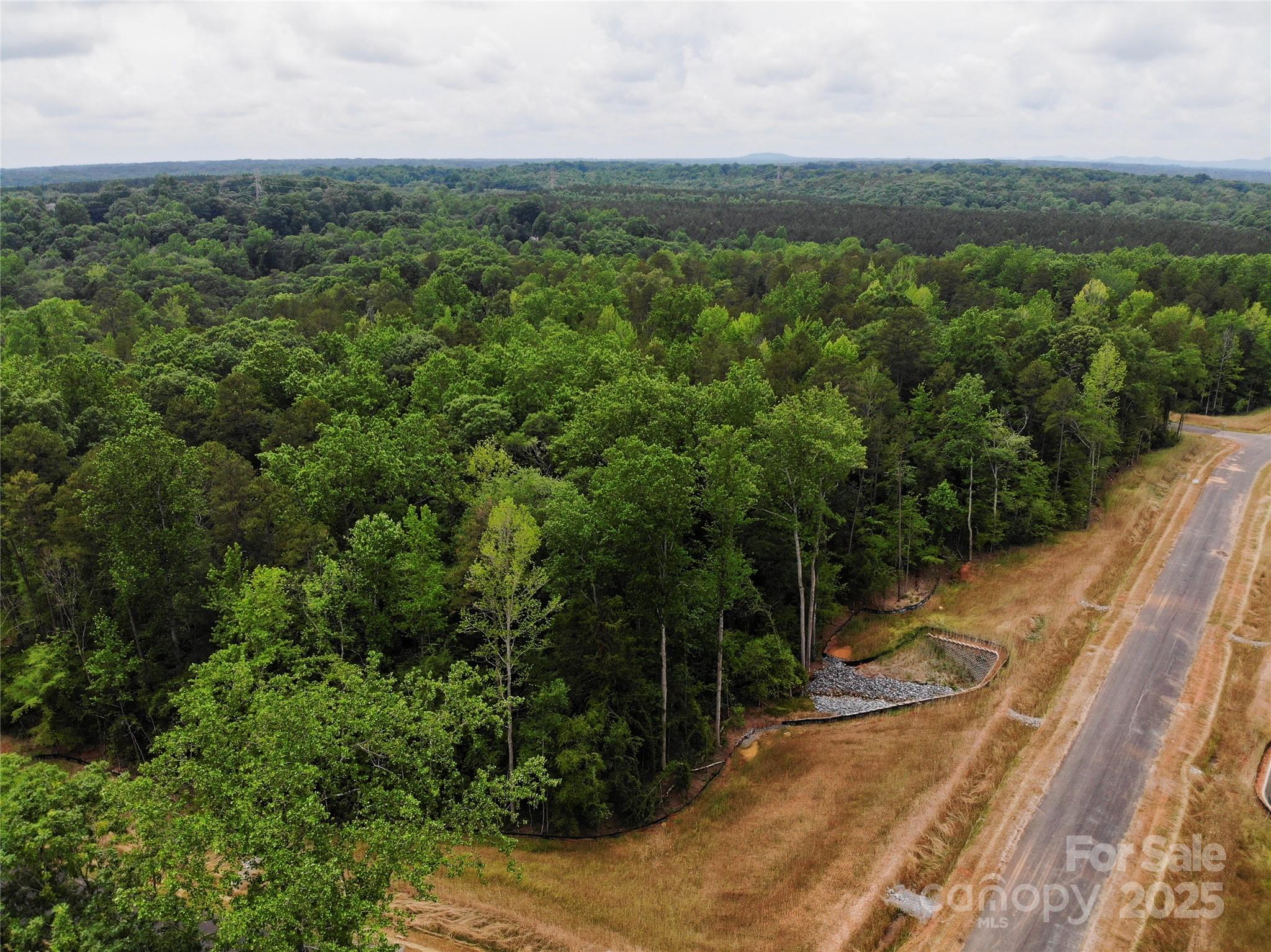 Lot 5 American Bittern Way Clover, SC 29710 - Photo 36 of 37 Gallery Image 36