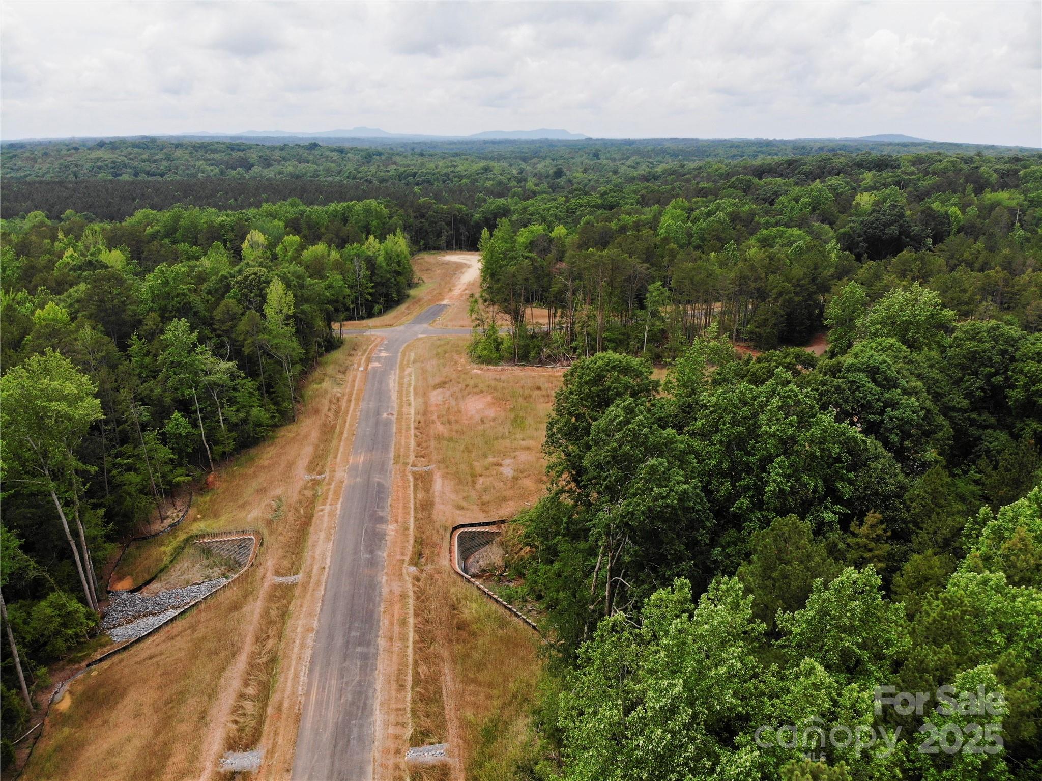 Lot 5 American Bittern Way Clover, SC 29710 - Photo 4 of 37 Gallery Image 4