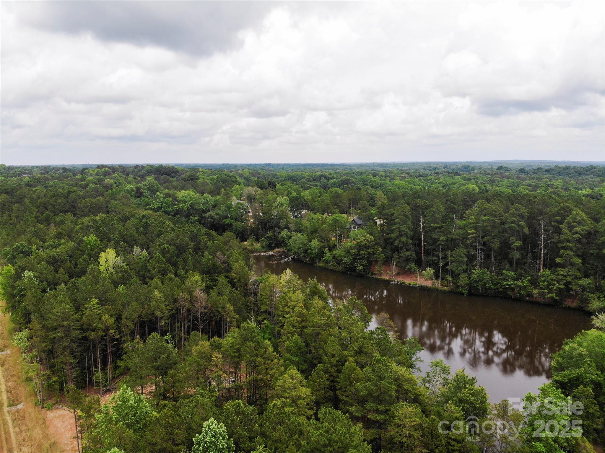 Lot 5 American Bittern Way Clover, SC 29710 - Photo 6 of 37 Gallery Image 6