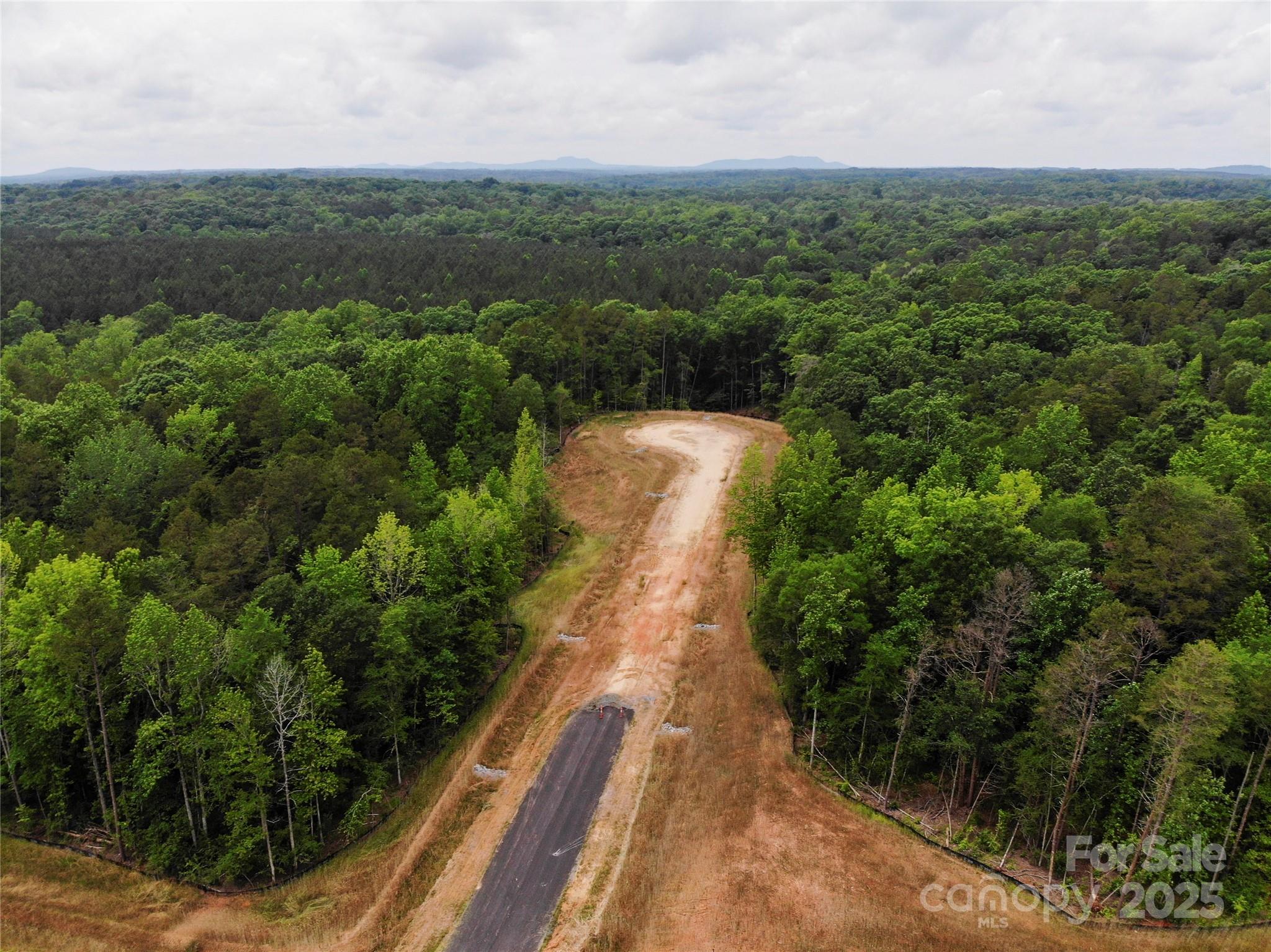 Lot 5 American Bittern Way Clover, SC 29710 - Photo 7 of 37 Gallery Image 7