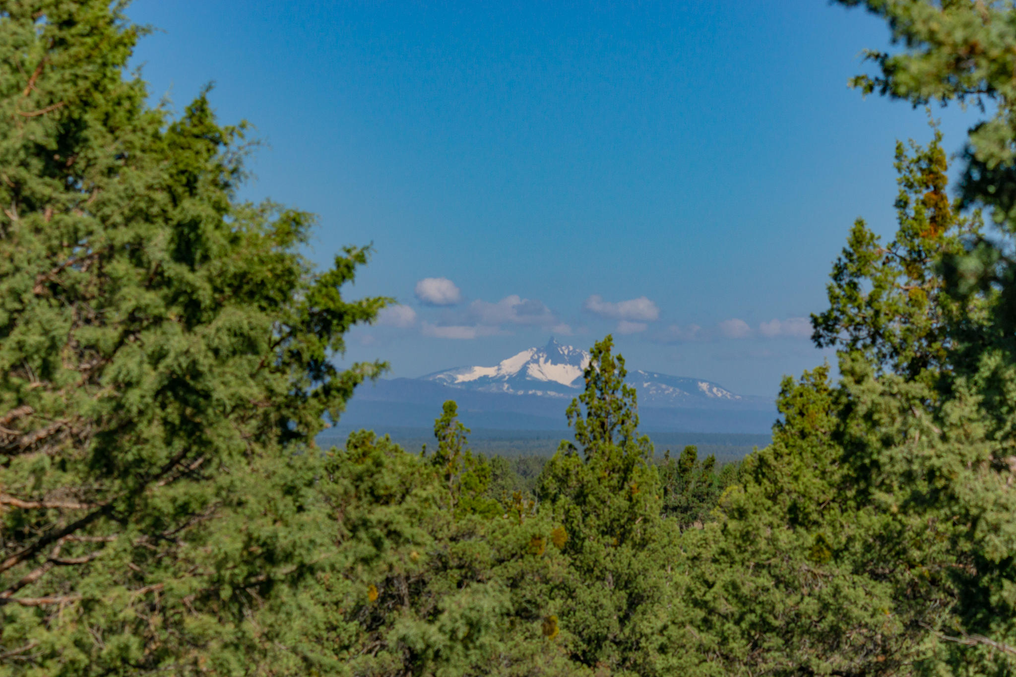 65220 Smokey Ridge Road Bend, OR 97703 - Photo 39 of 39 DSC06133