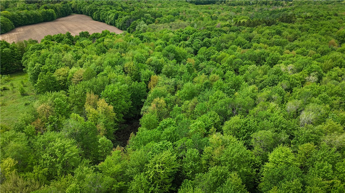 Gifford Road Hannibal, NY 13074 - Photo 26 of 50