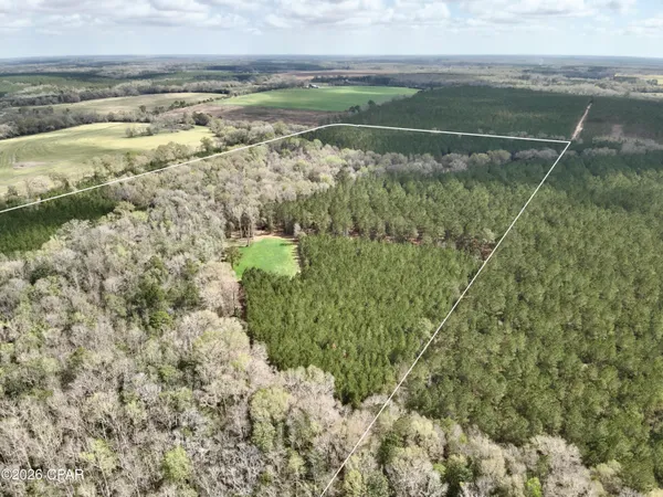 $550,000 | 179 Bonifay, Bonifay, FL 32425