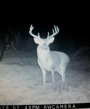 $550,000 | 179 Bonifay, Bonifay, FL 32425