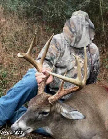 $550,000 | 179 Bonifay, Bonifay, FL 32425