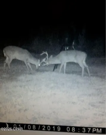 $550,000 | 179 Bonifay, Bonifay, FL 32425