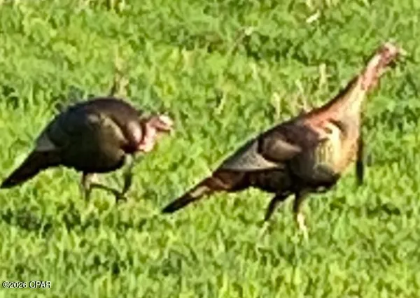 $550,000 | 179 Bonifay, Bonifay, FL 32425