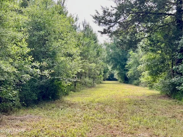 $550,000 | 179 Bonifay, Bonifay, FL 32425