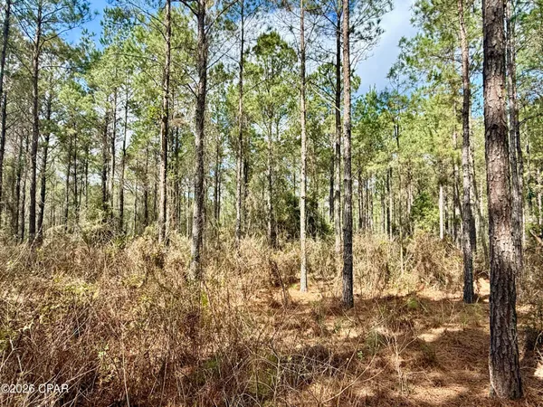 $550,000 | 179 Bonifay, Bonifay, FL 32425