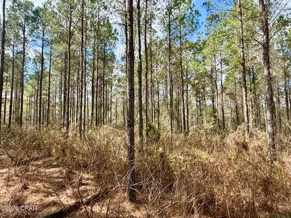 $550,000 | 179 Bonifay, Bonifay, FL 32425