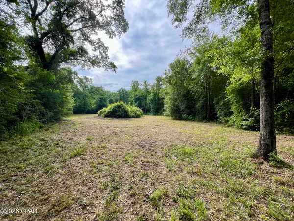 $550,000 | 179 Bonifay, Bonifay, FL 32425