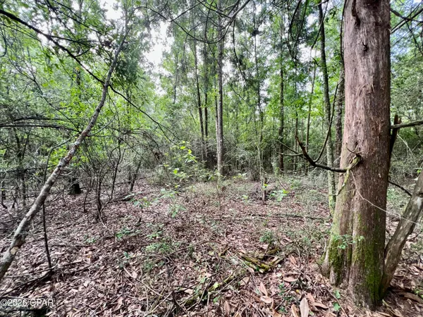 $550,000 | 179 Bonifay, Bonifay, FL 32425