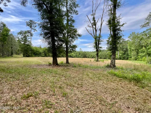 $550,000 | 179 Bonifay, Bonifay, FL 32425