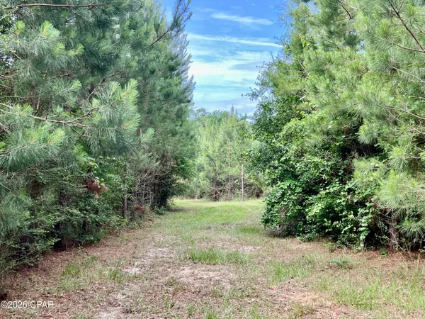 $550,000 | 179 Bonifay, Bonifay, FL 32425