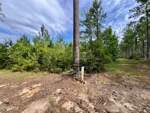 $550,000 | 179 Bonifay, Bonifay, FL 32425