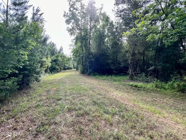 $550,000 | 179 Bonifay, Bonifay, FL 32425