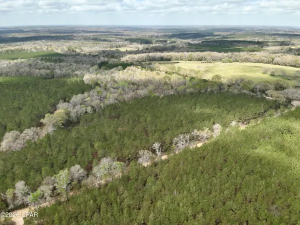 $550,000 | 179 Bonifay, Bonifay, FL 32425
