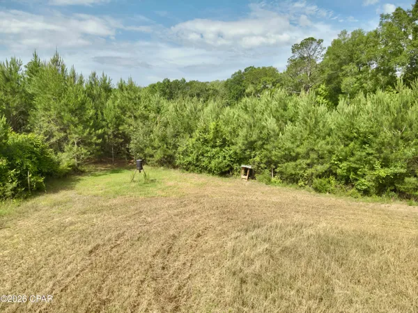 $550,000 | 179 Bonifay, Bonifay, FL 32425