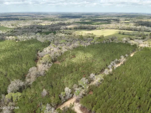 $550,000 | 179 Bonifay, Bonifay, FL 32425