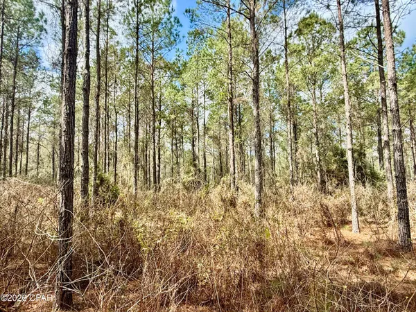 $550,000 | 179 Bonifay, Bonifay, FL 32425