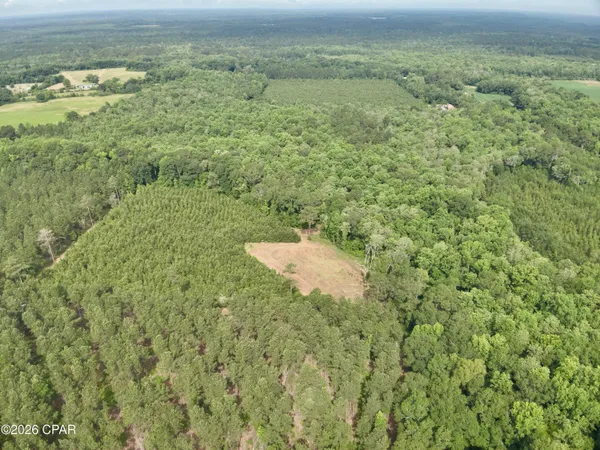 $550,000 | 179 Bonifay, Bonifay, FL 32425