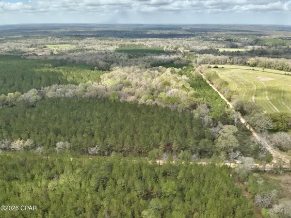 $550,000 | 179 Bonifay, Bonifay, FL 32425