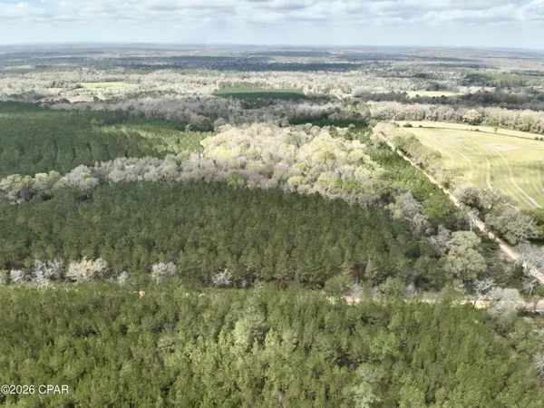 $550,000 | 179 Bonifay, Bonifay, FL 32425