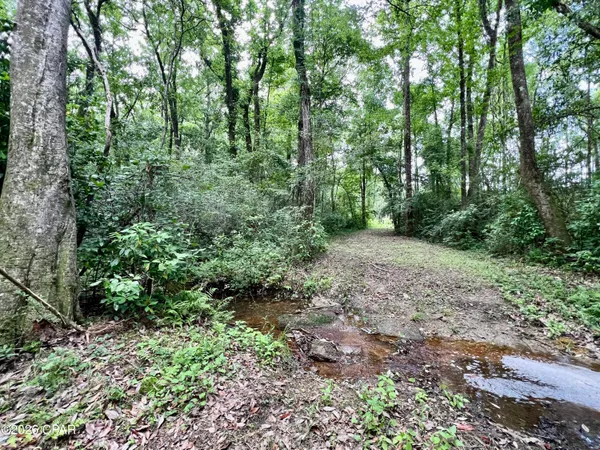 $550,000 | 179 Bonifay, Bonifay, FL 32425
