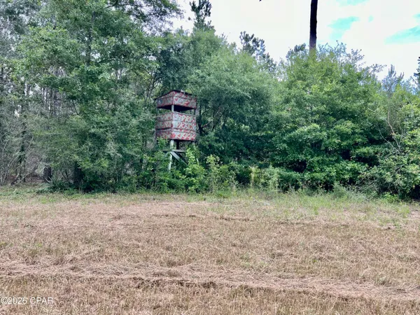 $550,000 | 179 Bonifay, Bonifay, FL 32425