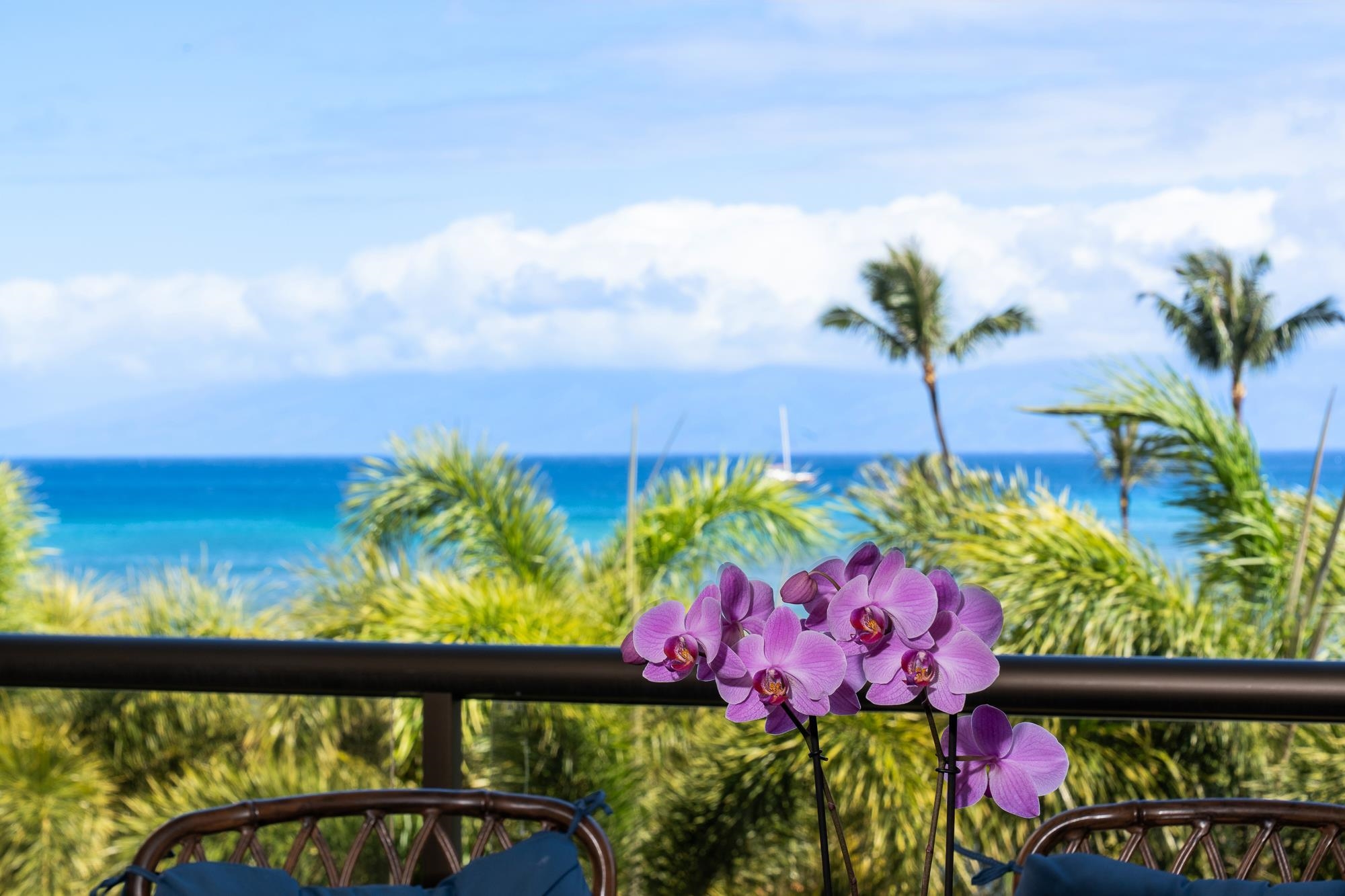 4299 Lower Honoapiilani Road, Unit 134 Lahaina, HI 96761 - Photo 3 of 50