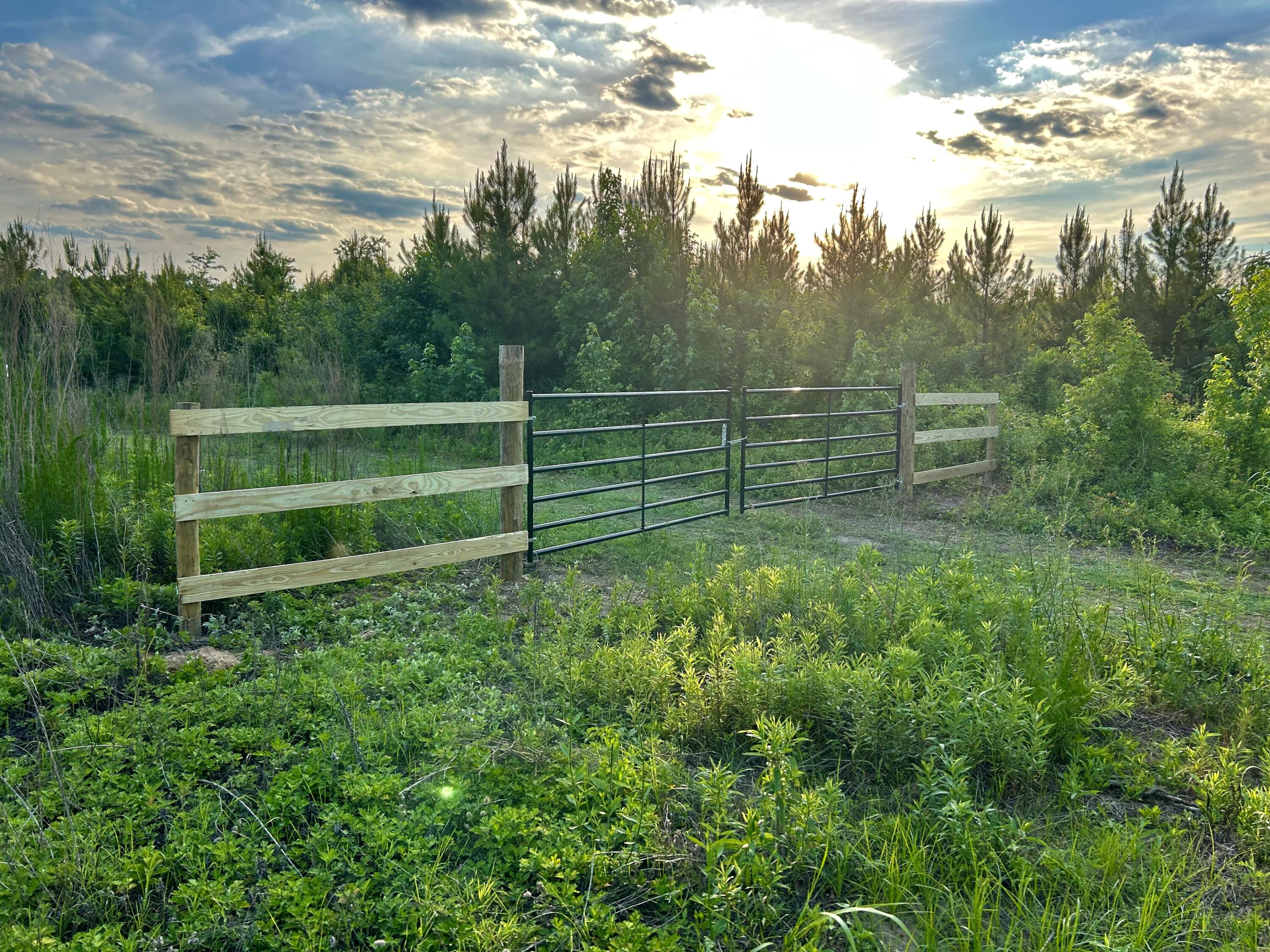 IMG_1713