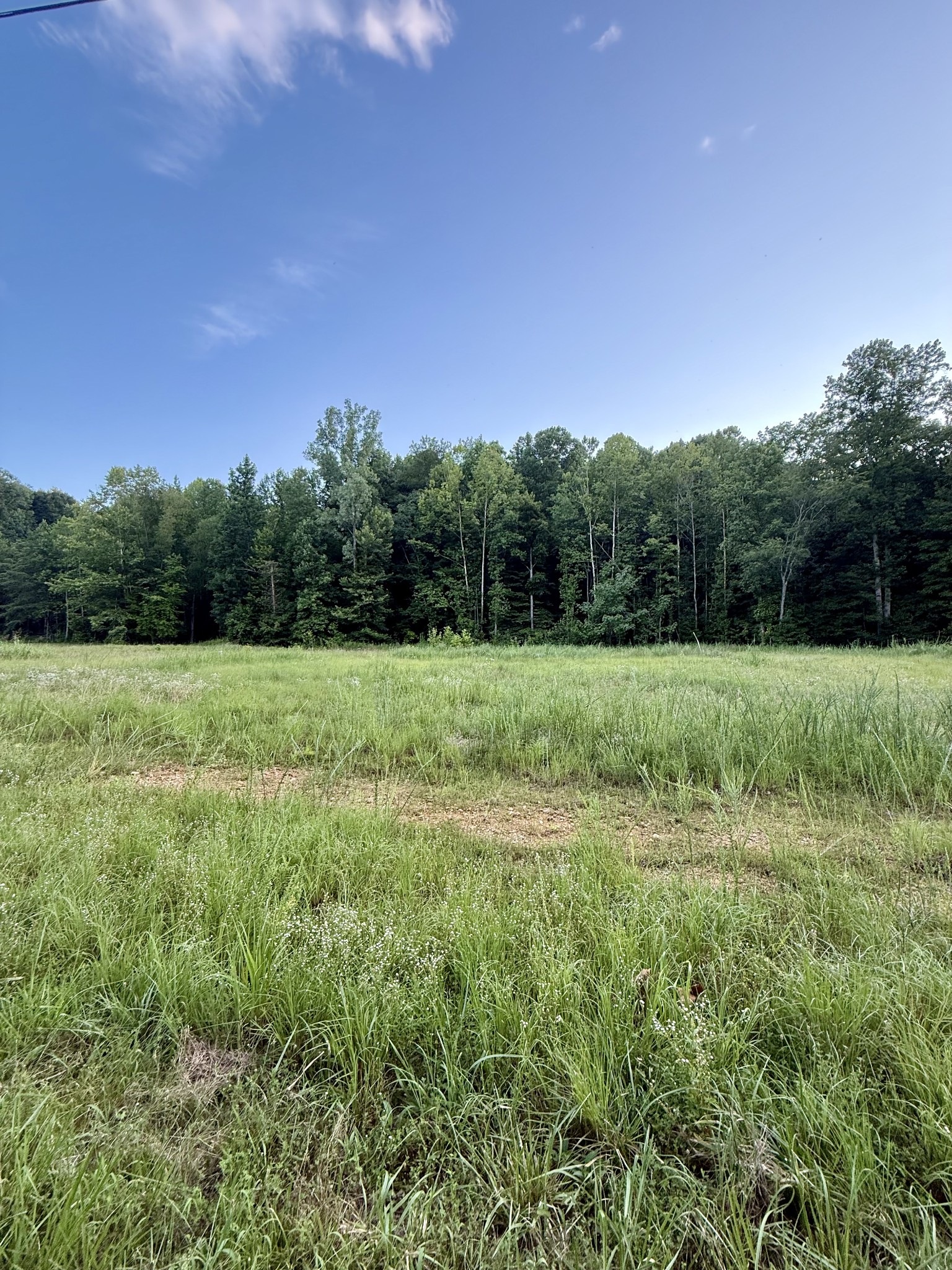 825 Lakestone Road Waverly, TN 37185 - Photo 6 of 7