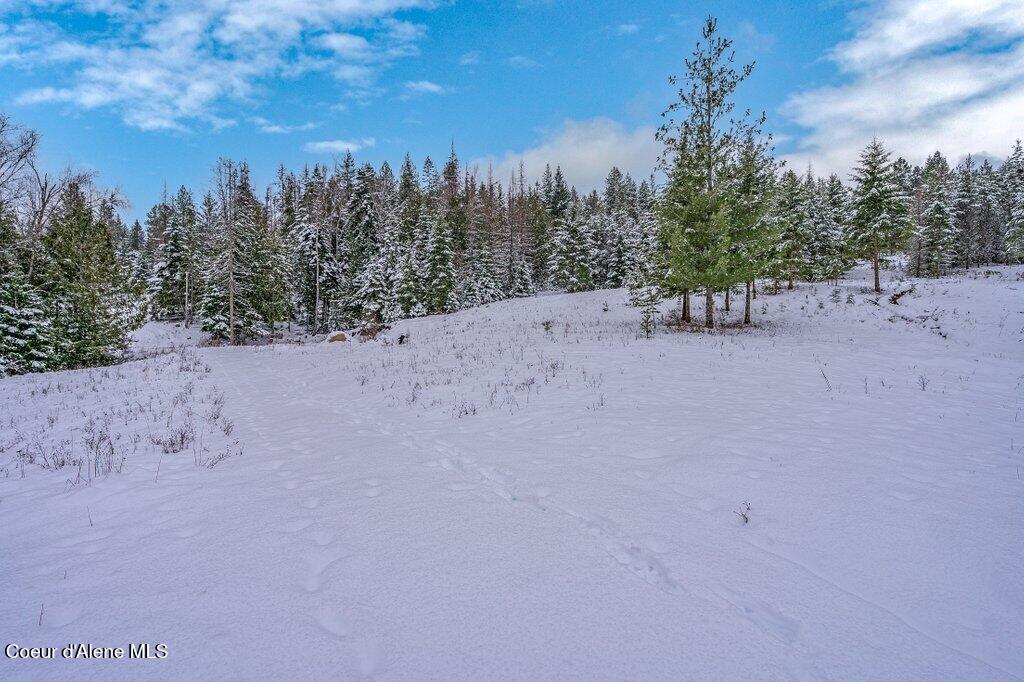 Nna Nna Road Sagle, ID 83860 - Photo 14 of 59 --16.jpg-SMALL