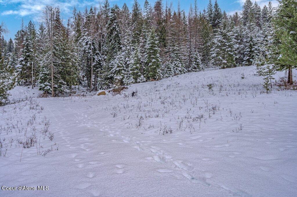 Nna Nna Road Sagle, ID 83860 - Photo 24 of 68 --17.jpg-SMALL