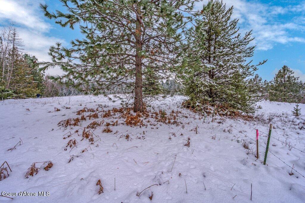 Nna Nna Road Sagle, ID 83860 - Photo 3 of 59 --4.jpg-SMALL