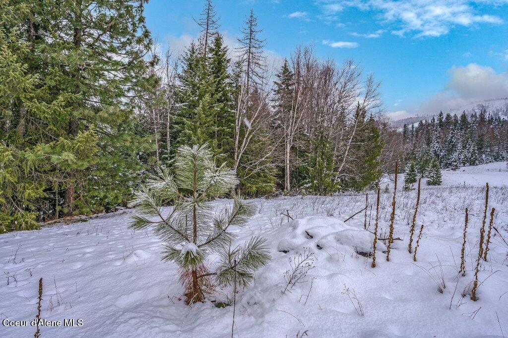 Nna Nna Road Sagle, ID 83860 - Photo 5 of 59 --7.jpg-SMALL