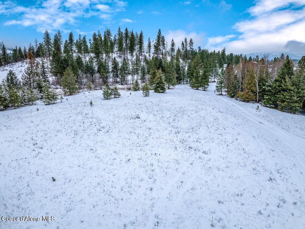 Nna Nna Road Sagle, ID 83860 - Photo 58 of 59 --61.jpg-SMALL