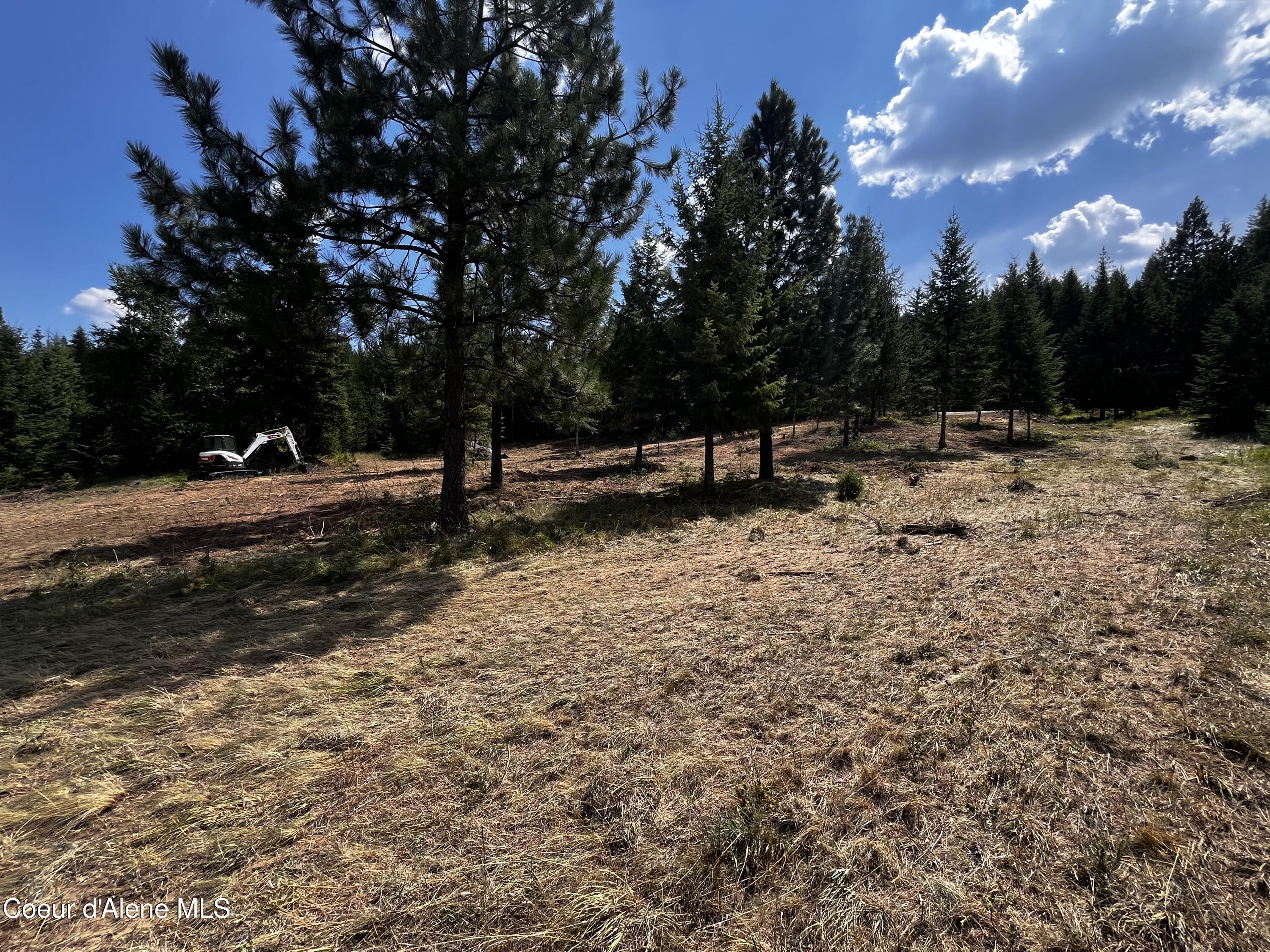 Nna Nna Road Sagle, ID 83860 - Photo 6 of 68 IMG_1562