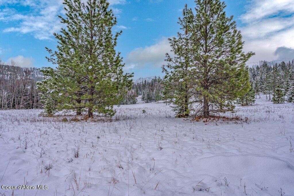 Nna Nna Road Sagle, ID 83860 - Photo 8 of 59 --10.jpg-SMALL