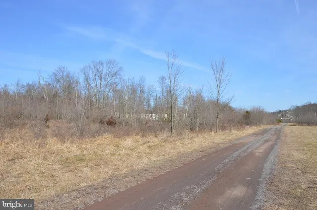 a view of a dry yard with trees