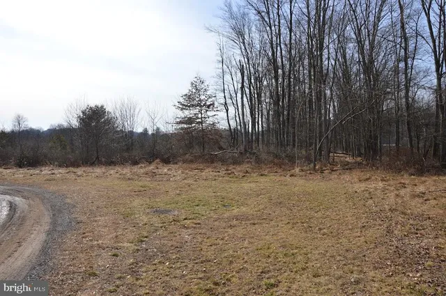 $388,000 | 0 Elizabeth & Long Avenue, Orwigsburg, PA 17961