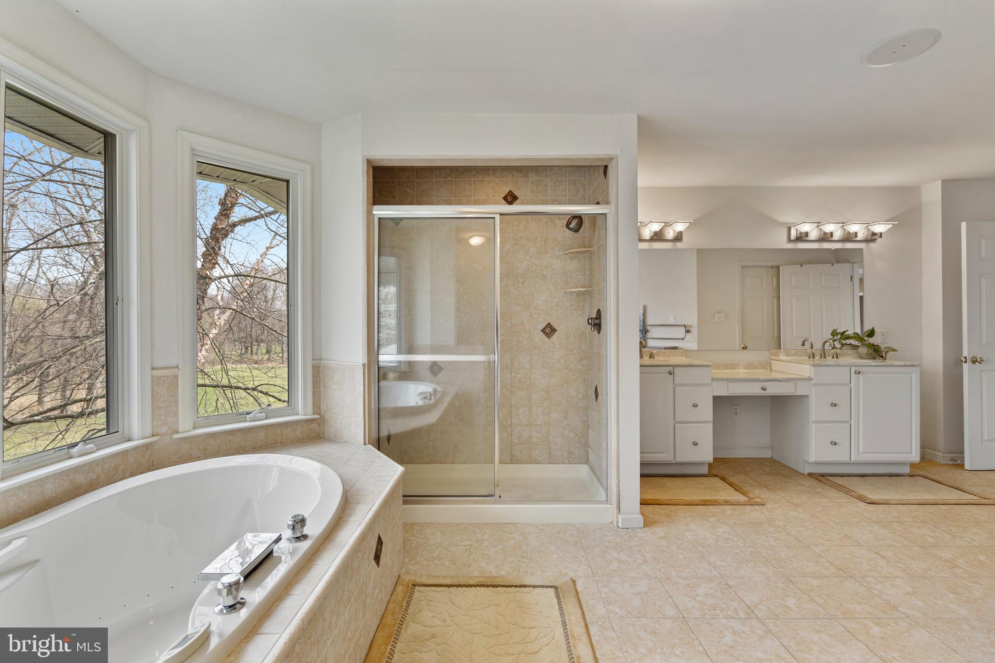 100 East Holland Road Holland, PA 18966 - Photo 26 of 63 a bathroom with a tub a double vanity sink a window and a shower
