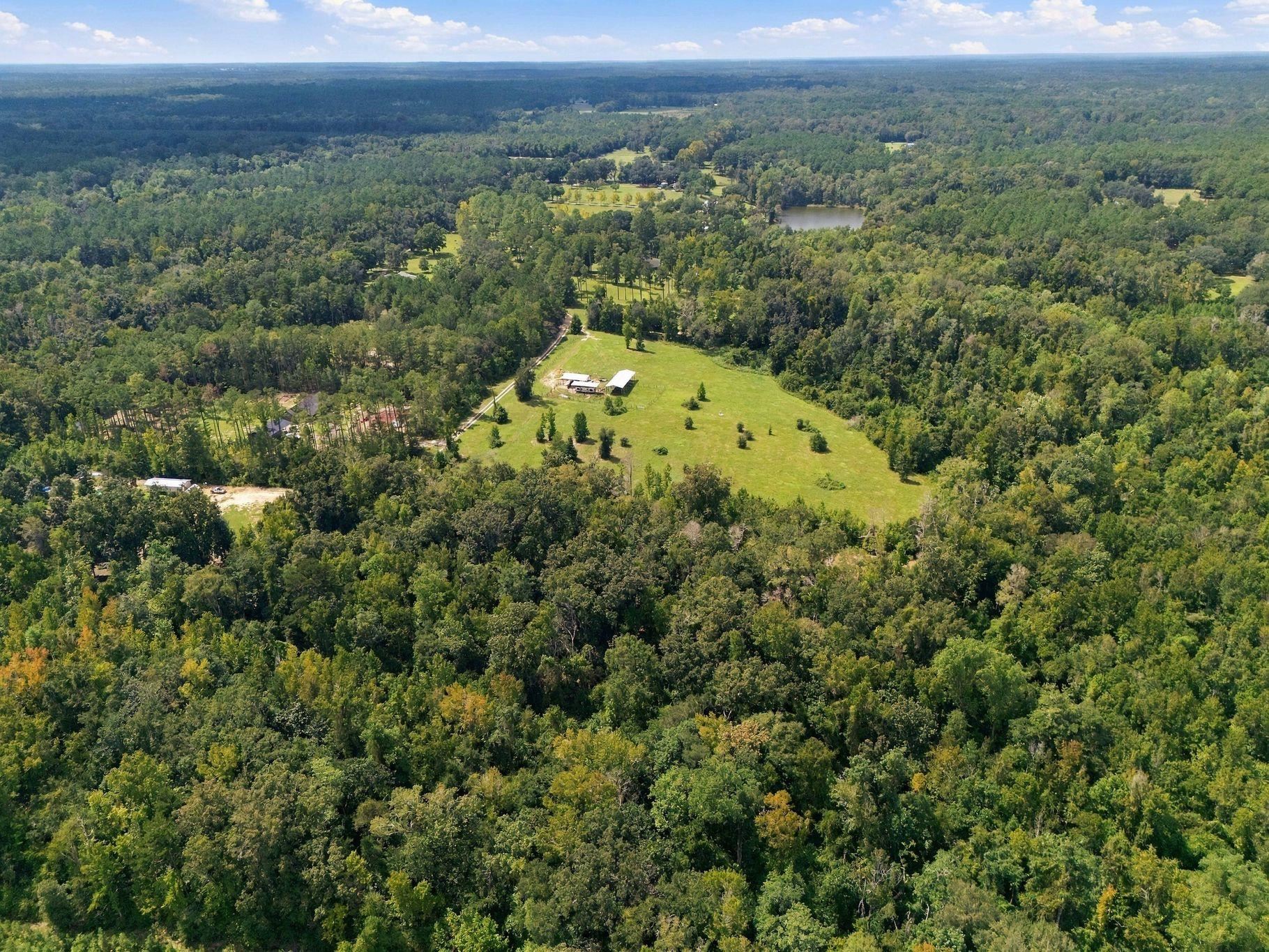 Lot 16 Johnny Road Lamont, FL 32336 - Photo 6 of 54 Gallery Image 6