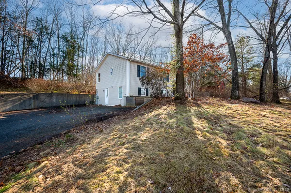 a view of a house with a large tree in front of it