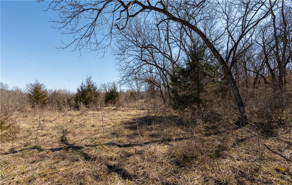16018 Baxter Road Excelsior Springs, MO 64024 - Photo 11 of 17