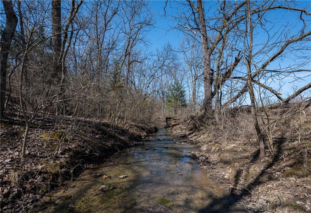 16018 Baxter Road Excelsior Springs, MO 64024 - Photo 12 of 17