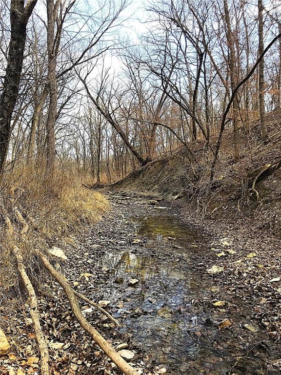 16018 Baxter Road Excelsior Springs, MO 64024 - Photo 3 of 6