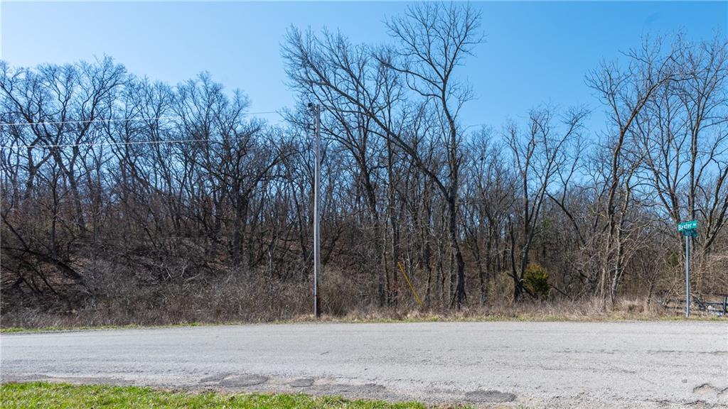 16018 Baxter Road Excelsior Springs, MO 64024 - Photo 3 of 17