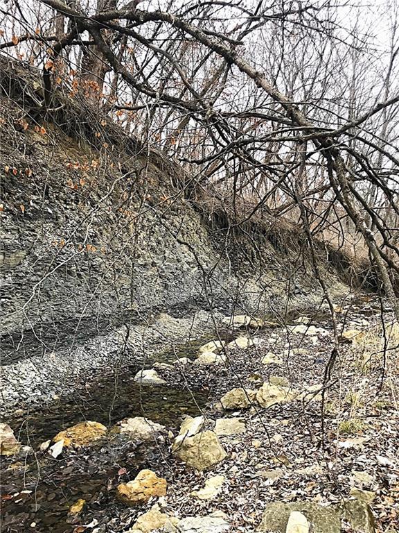 16018 Baxter Road Excelsior Springs, MO 64024 - Photo 4 of 6